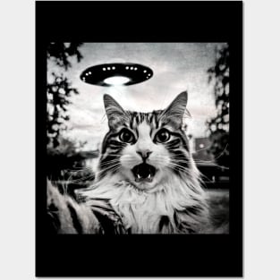 Cat Posters and Art